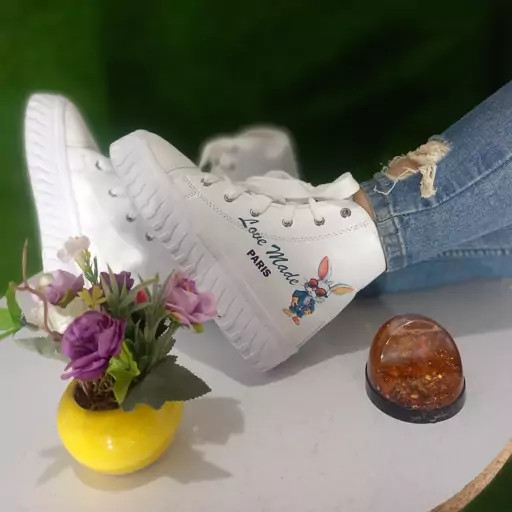 کتونی خرگوشی