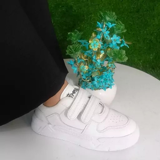 کتونی لژ مخفی