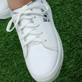 کتونی پروانه ای